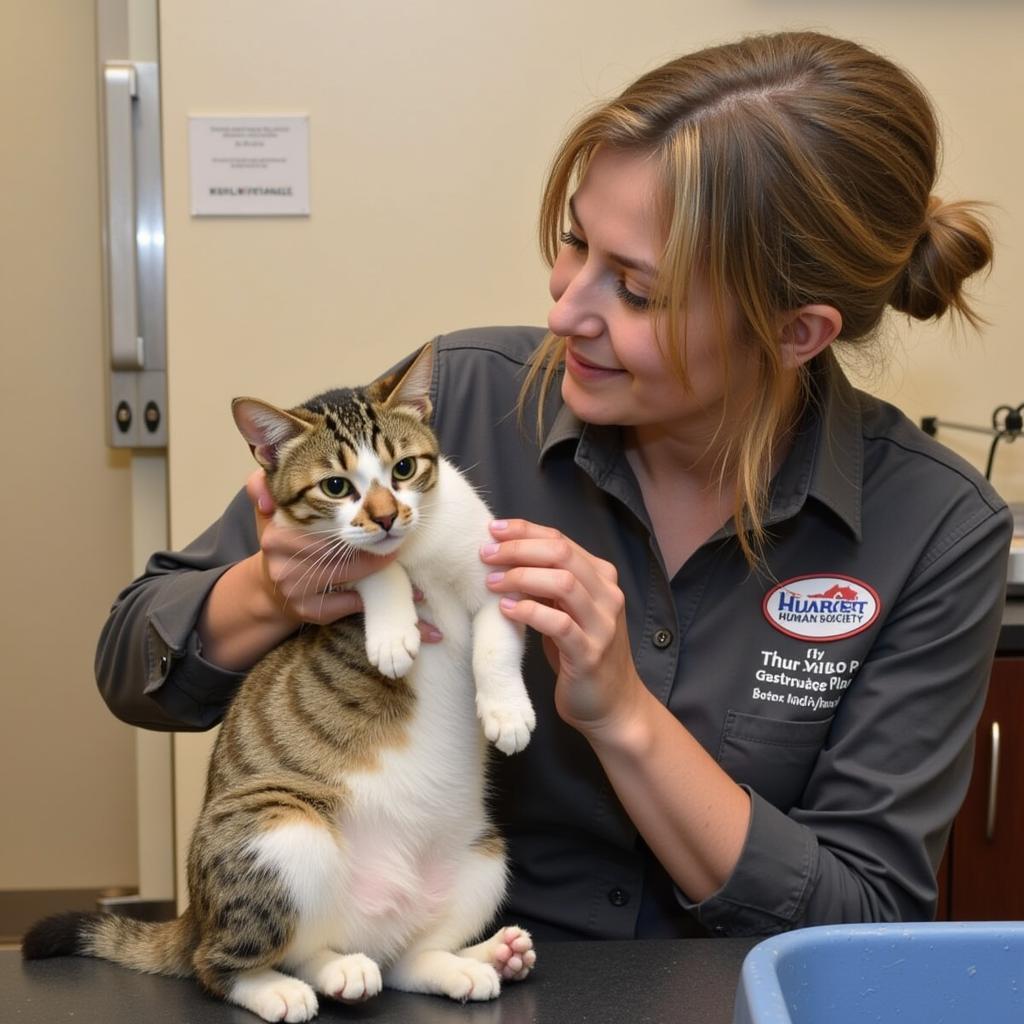 Darlington Humane Society Volunteer and Cat