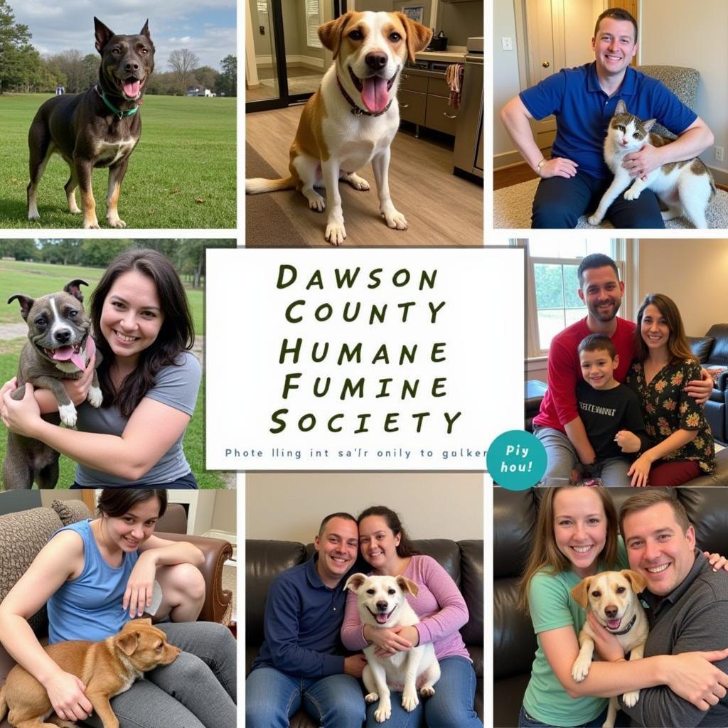 Dawson County Humane Society Adopted Pets with Their Happy Families