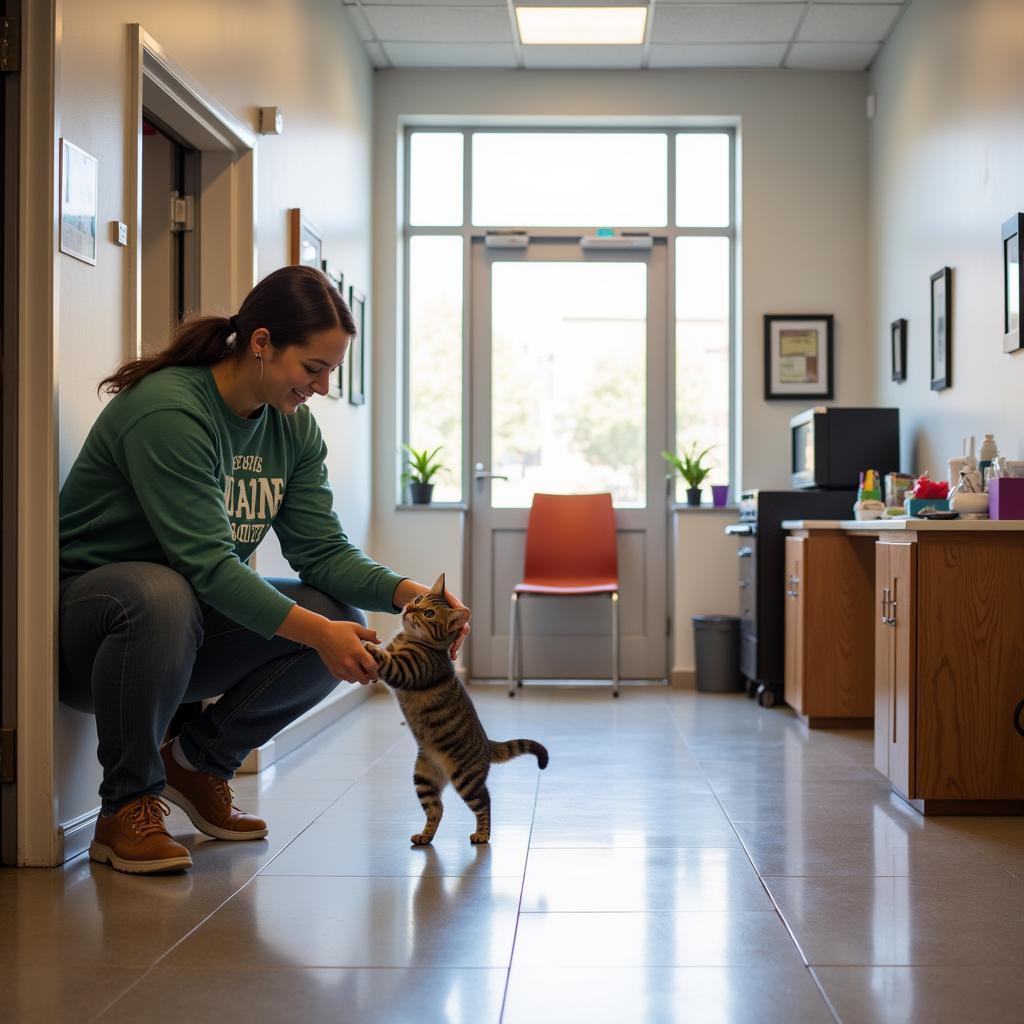 DC Humane Society Adoption Center