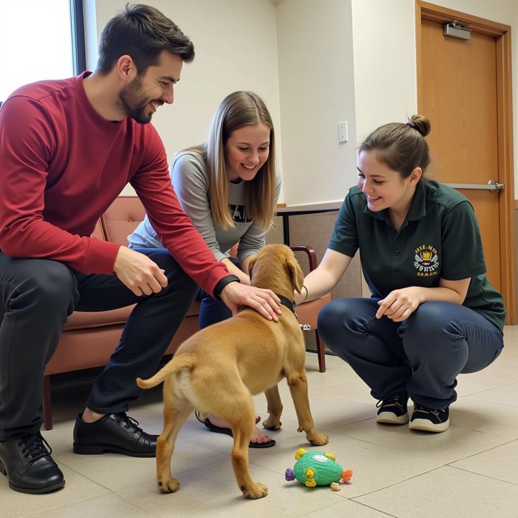 Navigating the adoption process at the Derby KS Humane Society