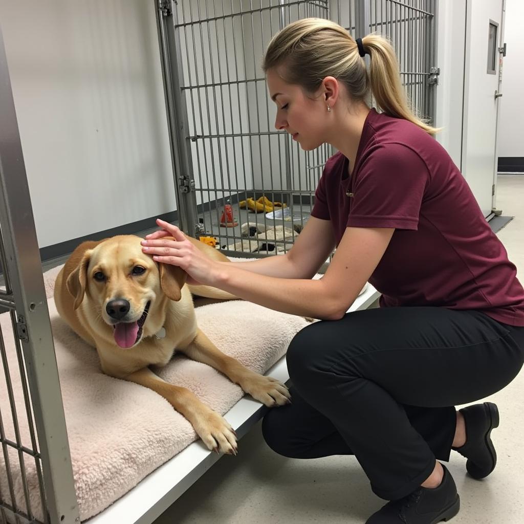 Finding Hope and a Home at the Derby KS Humane Society