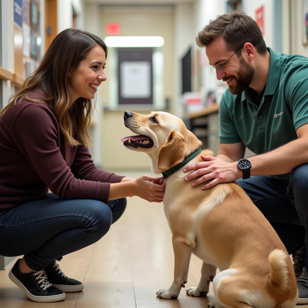 Dog meeting potential adopters at the humane society