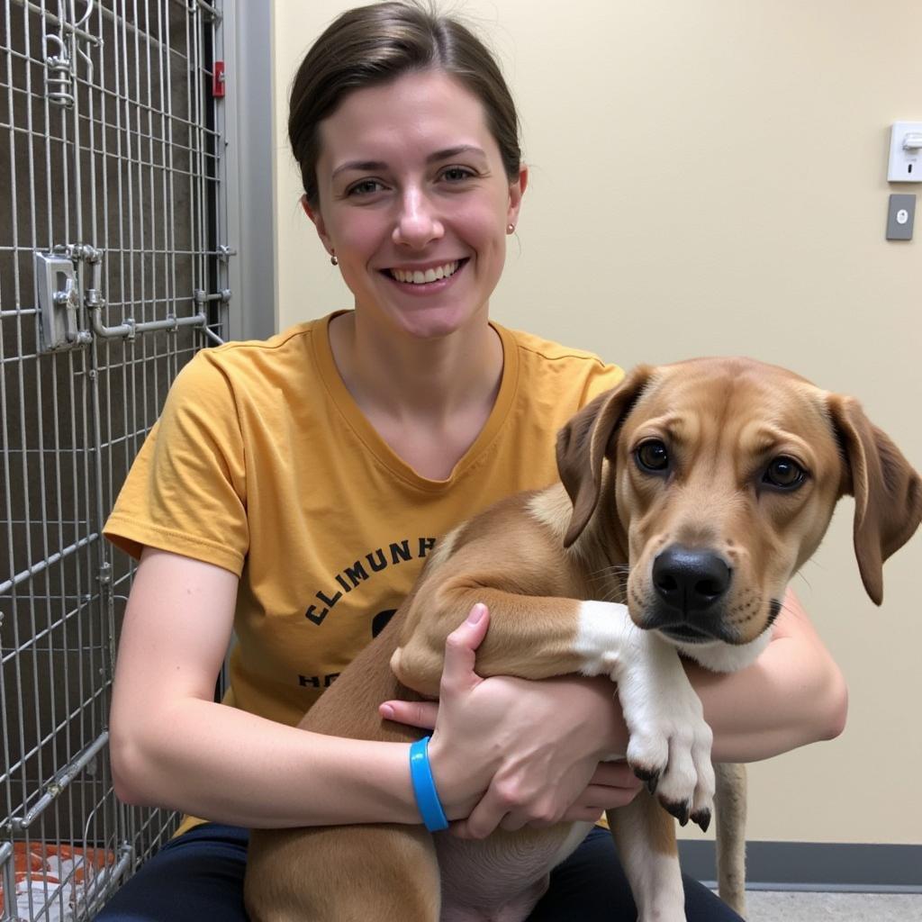 People volunteering at the Humane Society, walking dogs and caring for cats.