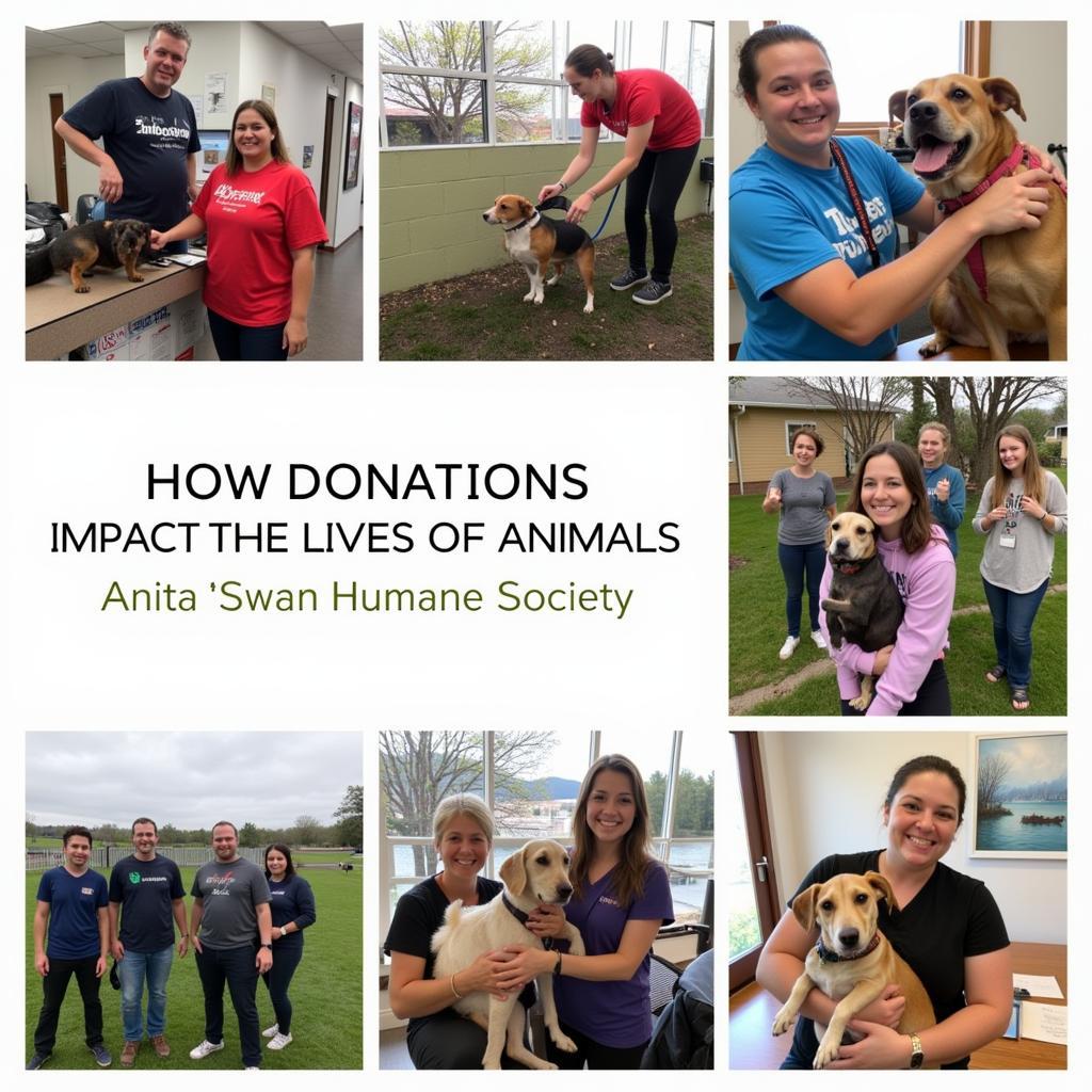 Donations Making a Difference at Anita Swan Humane Society