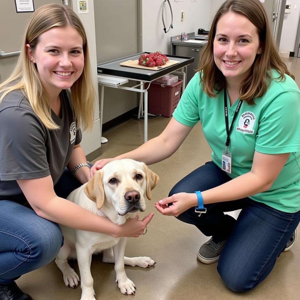 Dublin Laurens County Humane Society Volunteers