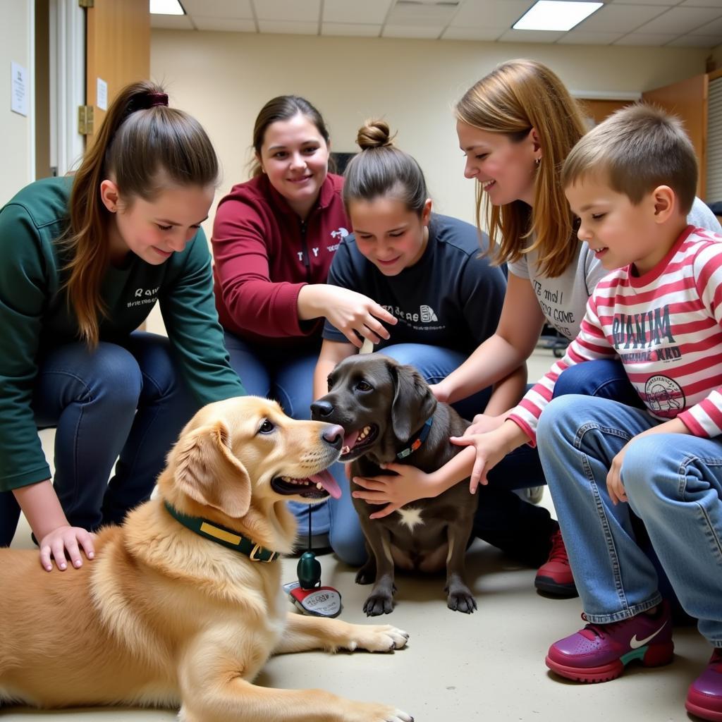 Volunteers at the Dubuque Humane Society