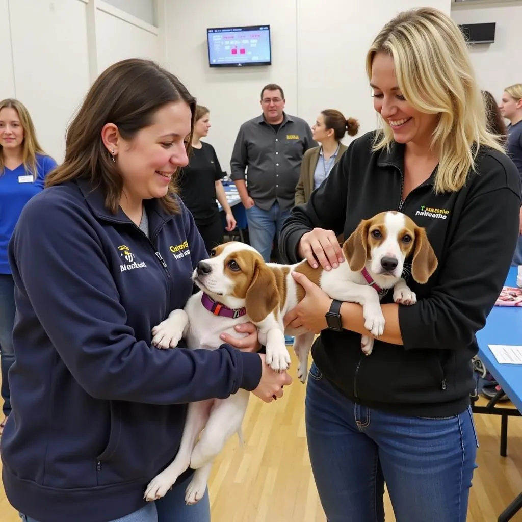 Joyful scene at a DCHS adoption event