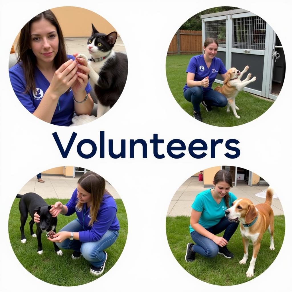 Dedicated Volunteers at Eastern Shore Humane Society