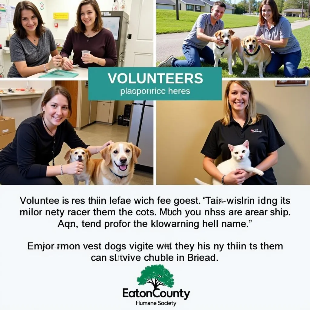 Volunteers caring for animals at the Eaton County Humane Society