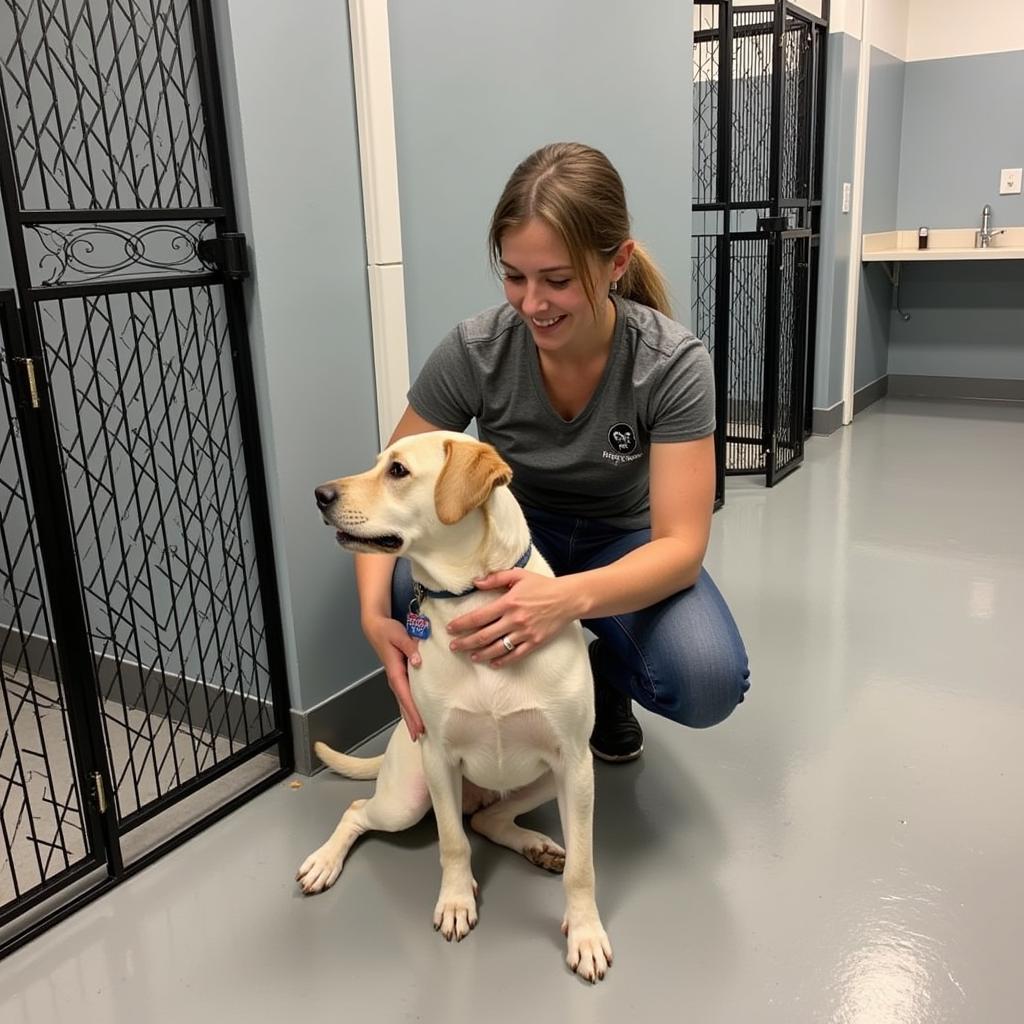 Finding Hope and Help at the Erath County Humane Society in Stephenville, TX