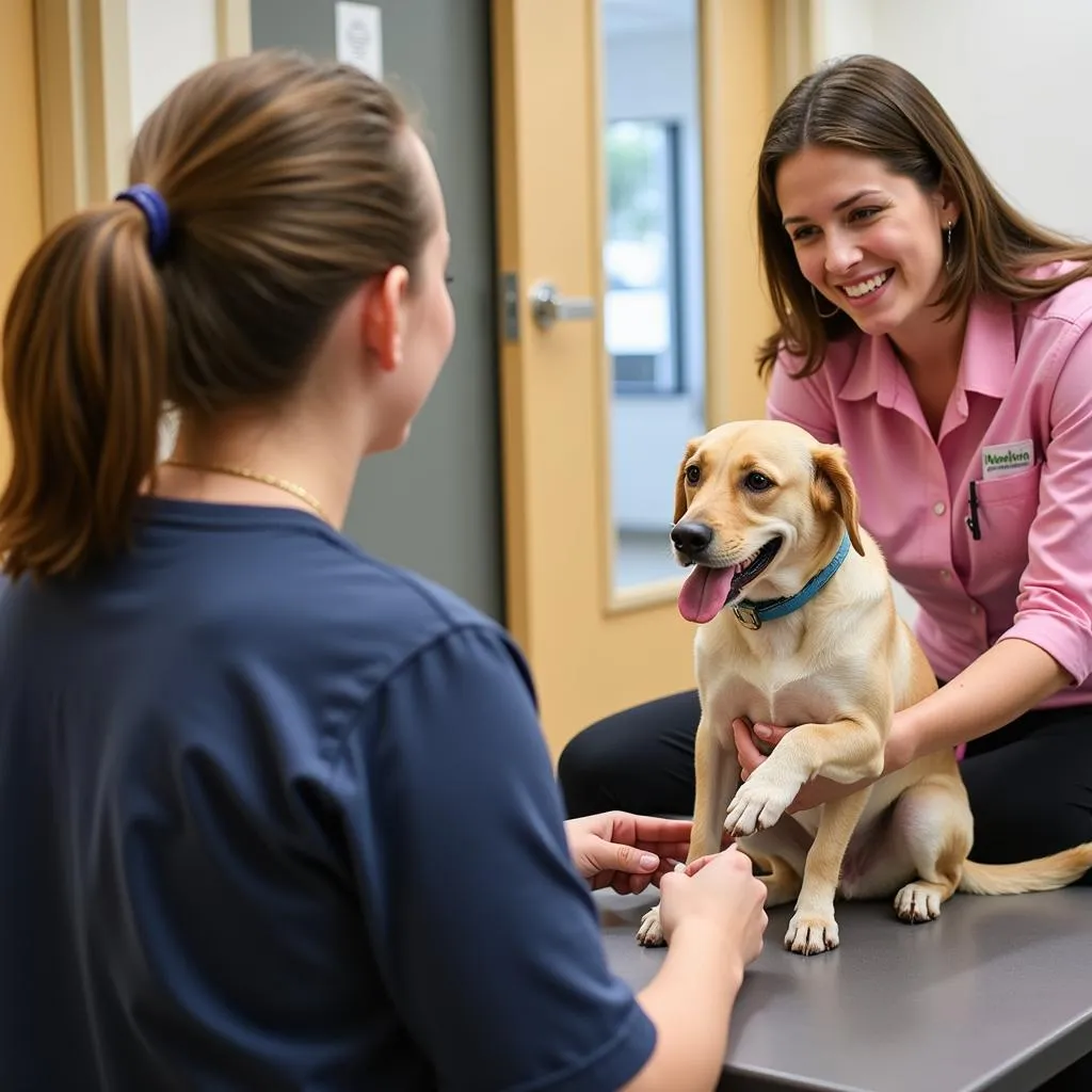 Adoption Process at Escambia Humane Society