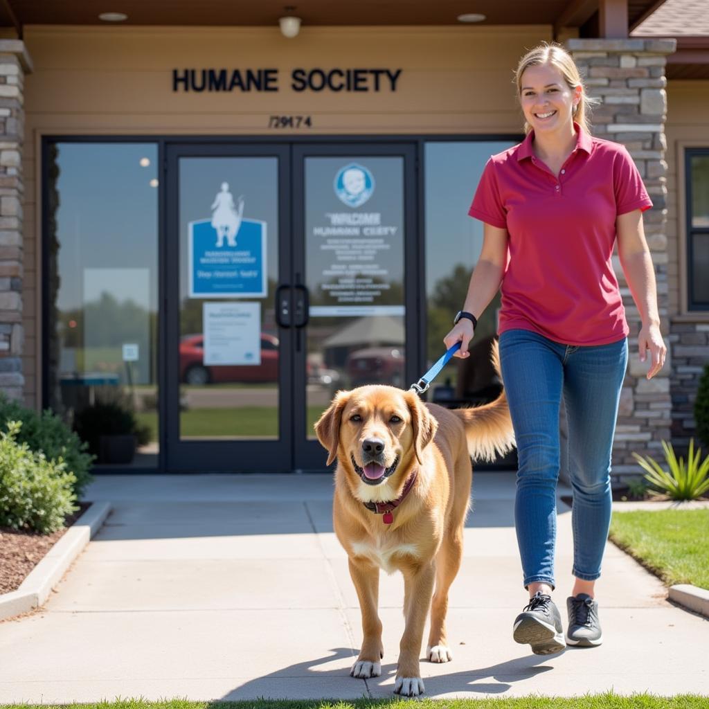 Volunteer walking a dog at Fairmont MN Humane Society