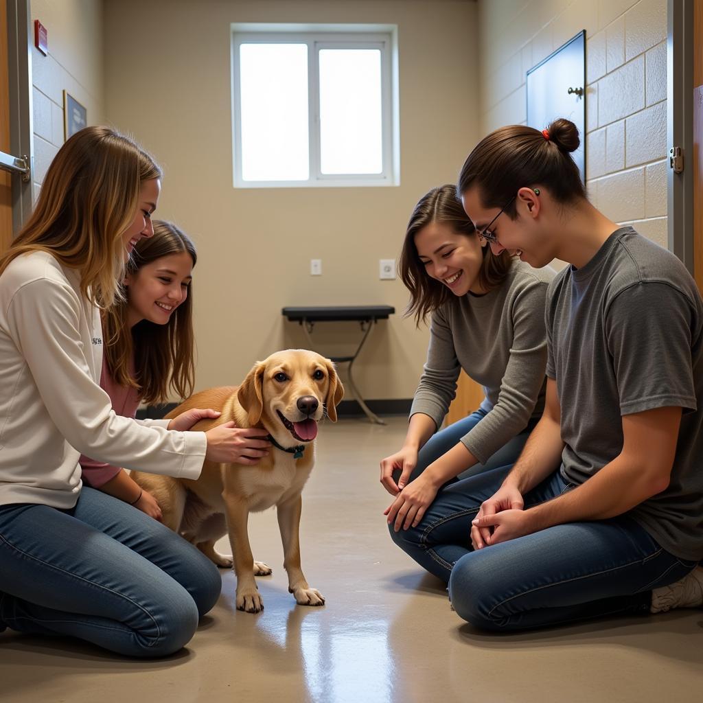 Overland Park KS Humane Society: Finding Forever Homes with Love