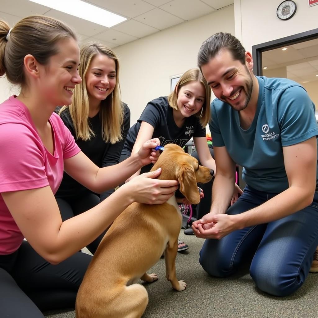 Family Meeting Dog at HCHS 