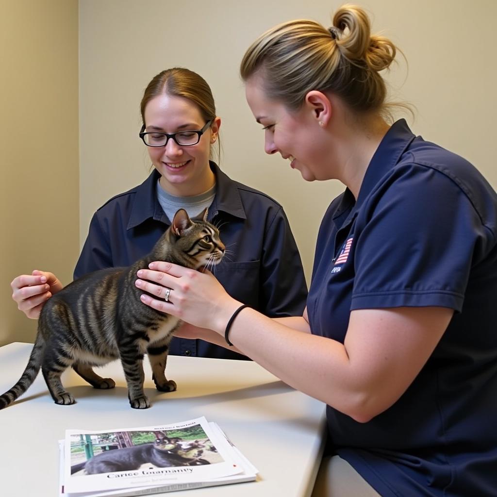 Finding the perfect pet at the Humane Society