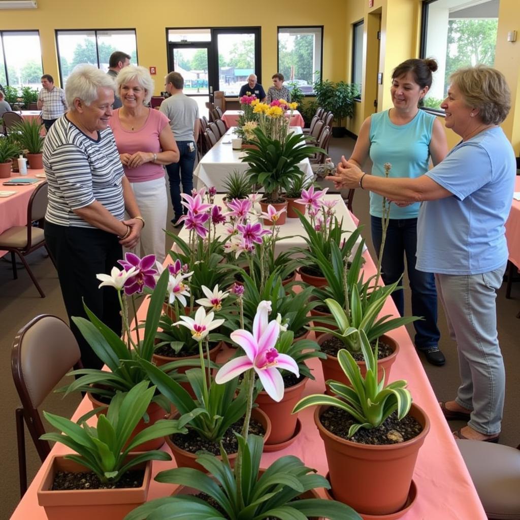 Orchid Enthusiasts Gathering at Flamingo Gardens