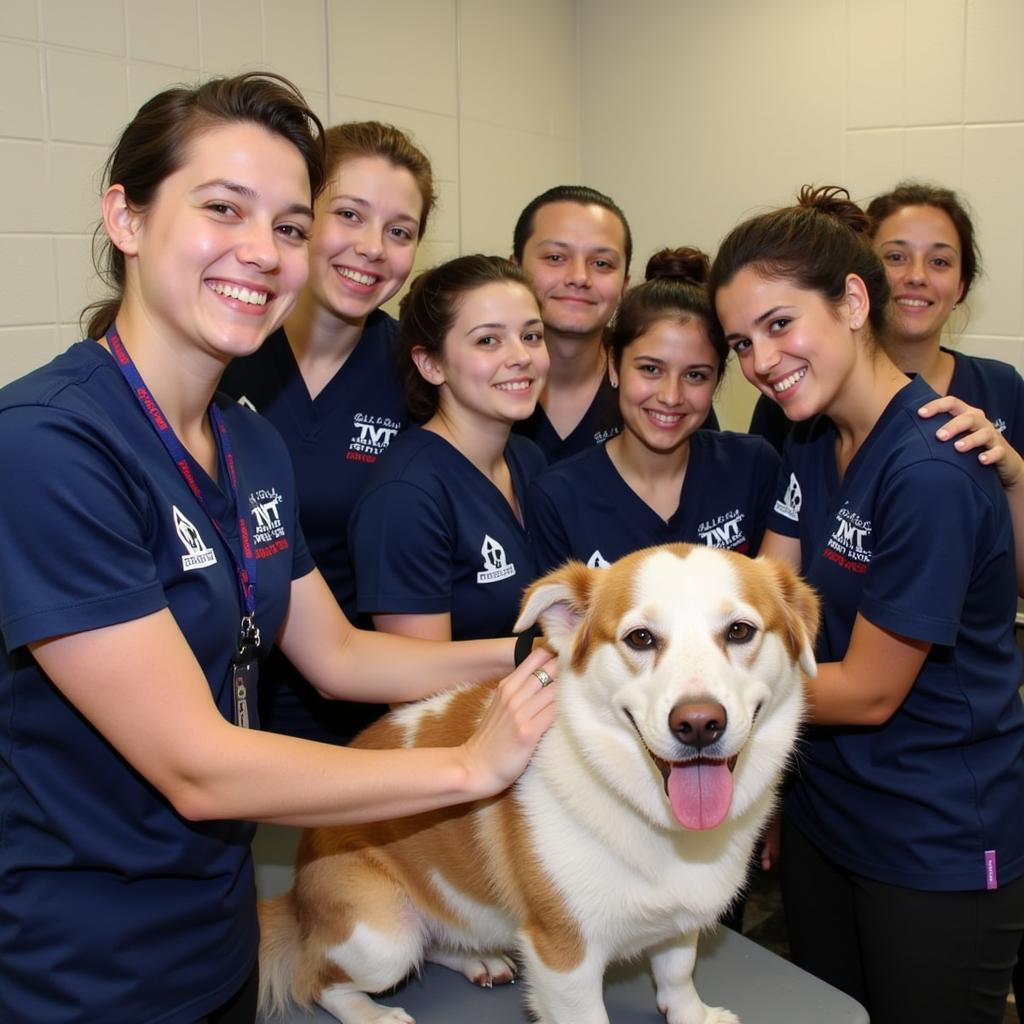 Dedicated Volunteers at Fremont Humane Society