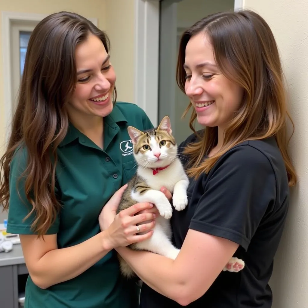 Fresno Humane Society Cat Adoption