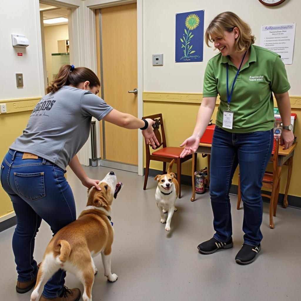 Golden Co Humane Society Volunteers