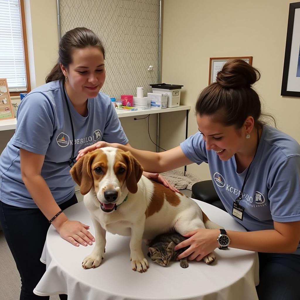 Gordon County Humane Society Volunteers Caring for Animals