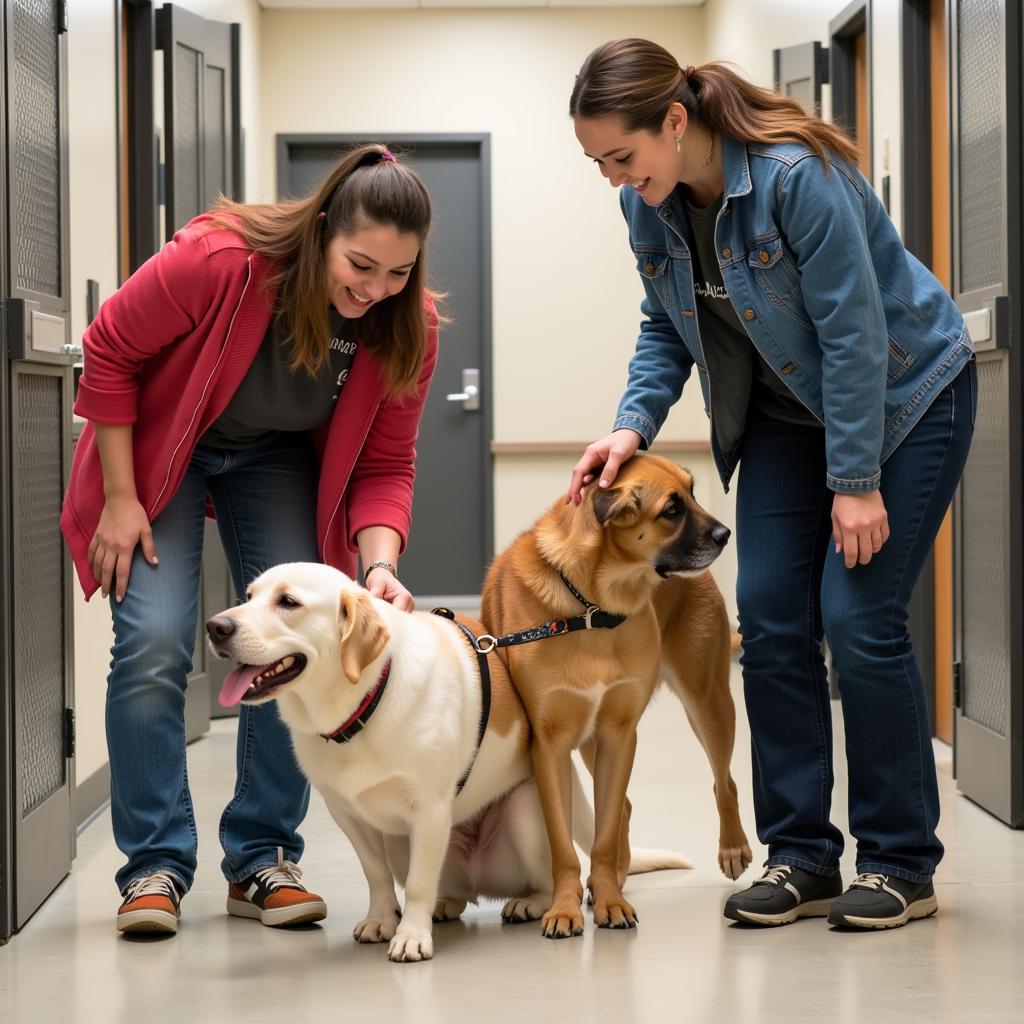 Volunteers at the Grand Island Humane Society