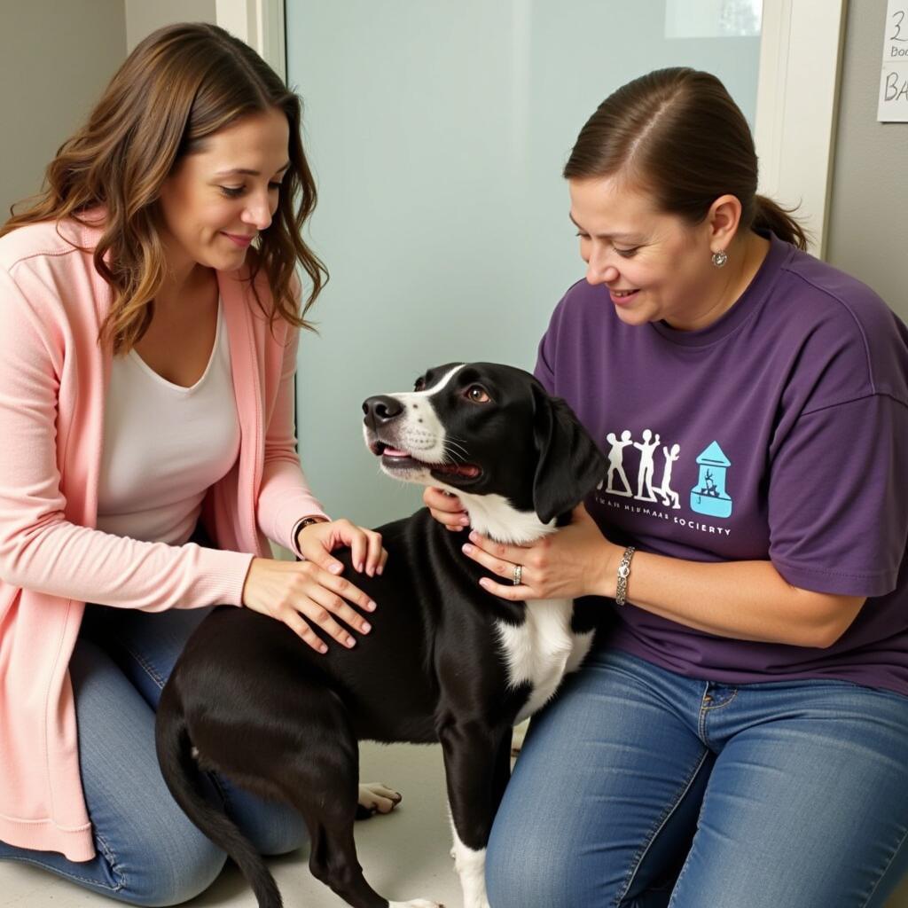 Grand Strand Humane Society Adoption Counselor