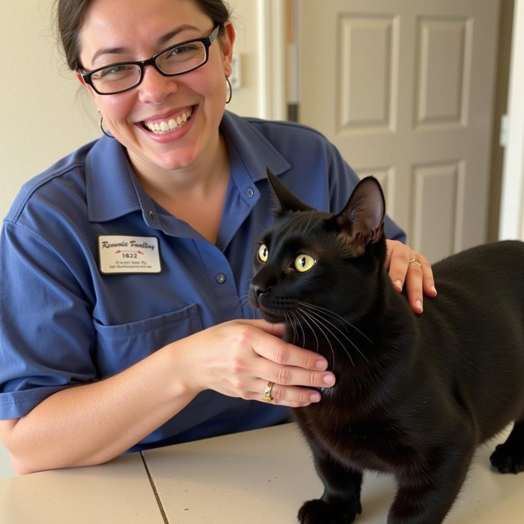 Volunteer comforts cat at Grand Strand Humane Society