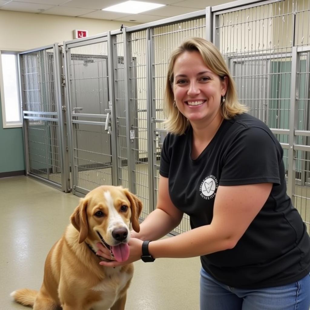 Animal Care at the Greater Androscoggin Humane Society