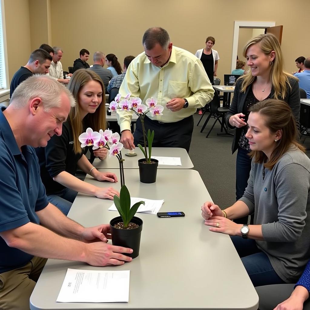 Orchid care workshop at the Greater Lansing Orchid Society