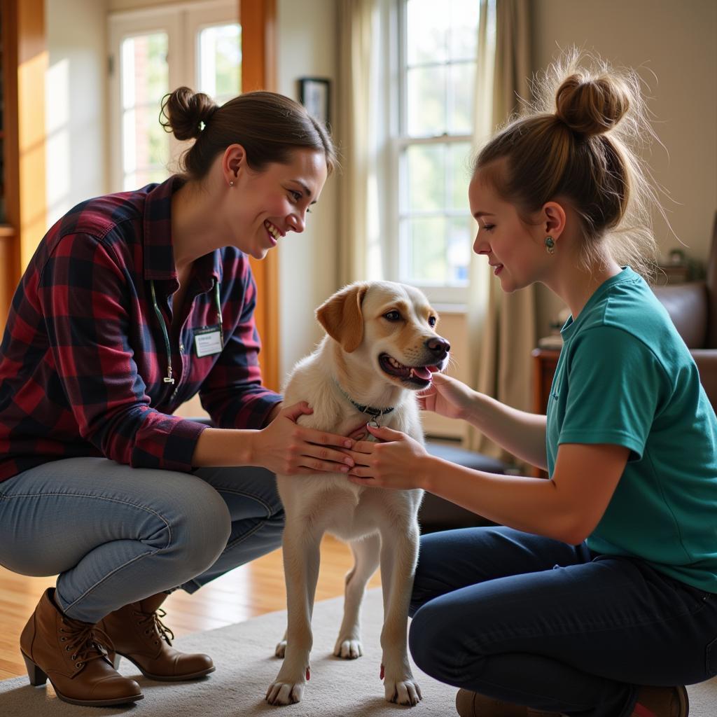 Preparing for a Home Visit