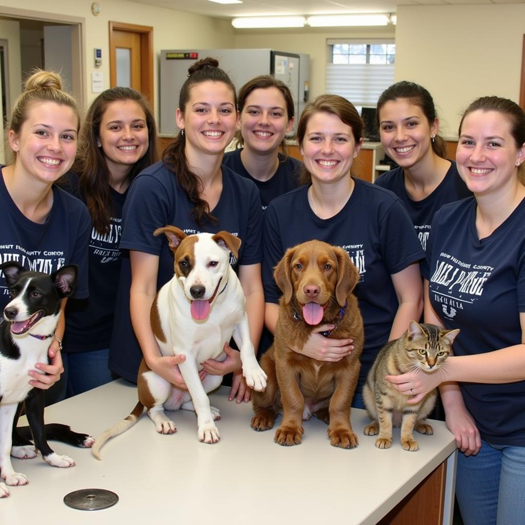 Volunteers caring for animals at Greene County Humane Society