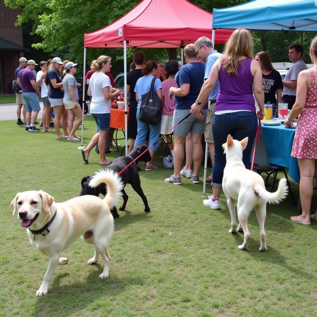 Greeneville Humane Society Adoption Event