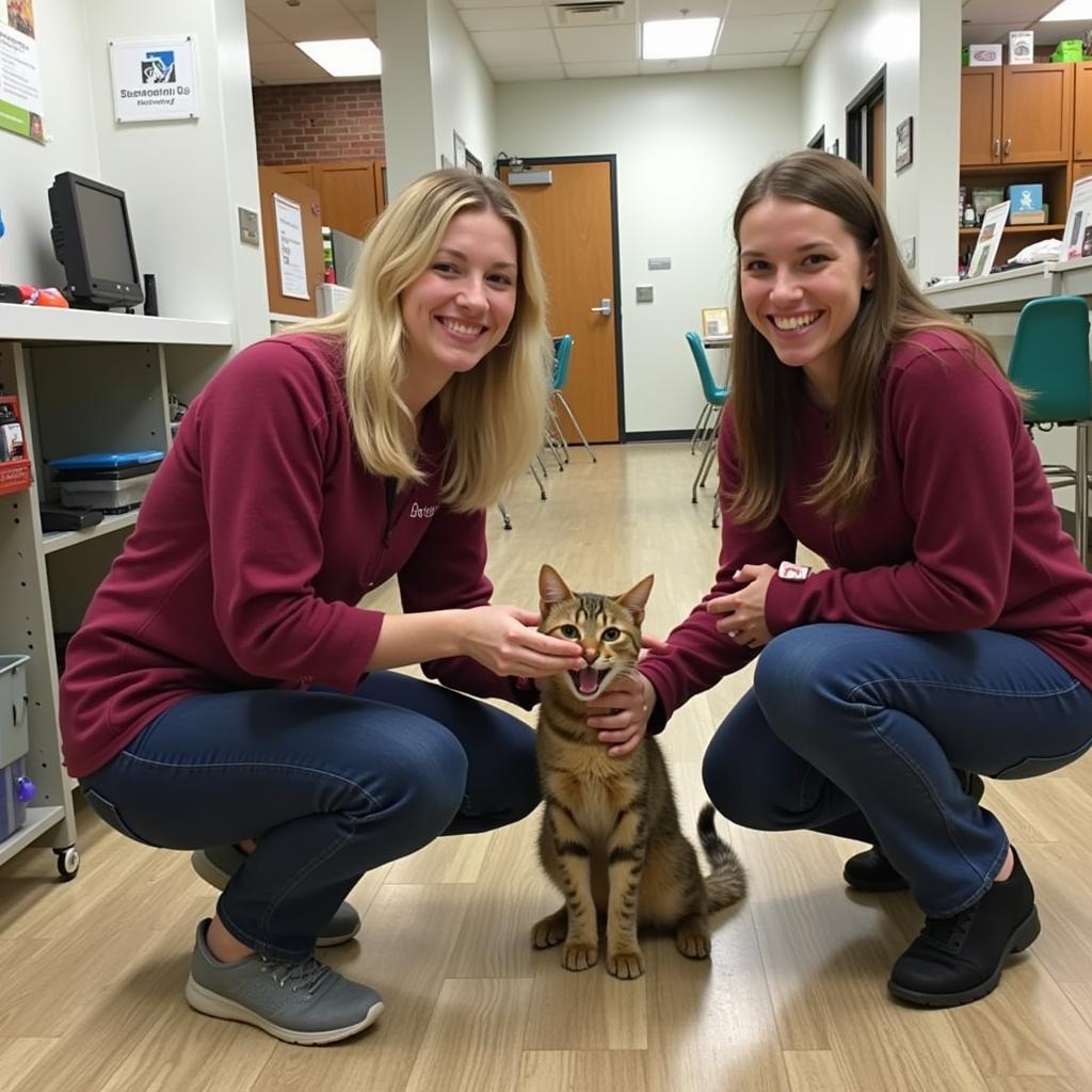 Volunteers Playing with Cat at Greeneville Humane Society