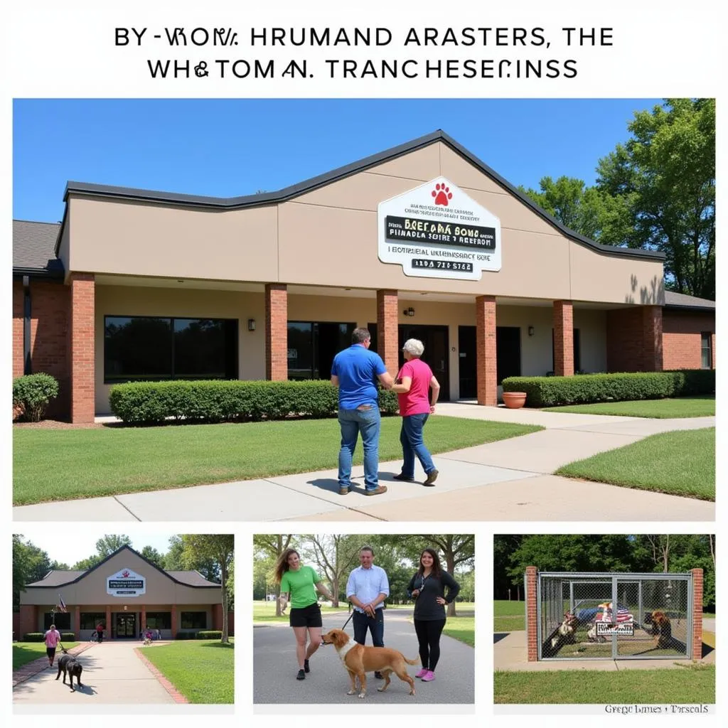 Modern shelter building of the Gregg County Humane Society