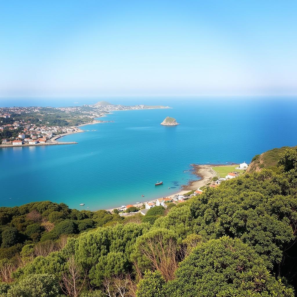 Scenic view of the Guernsey coastline with lush green cliffs and azure blue water