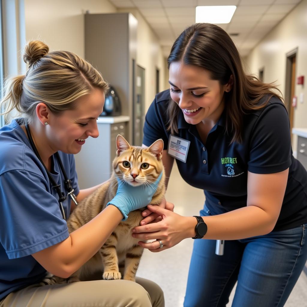 Volunteers at the Hardin County Humane Society caring for a cat