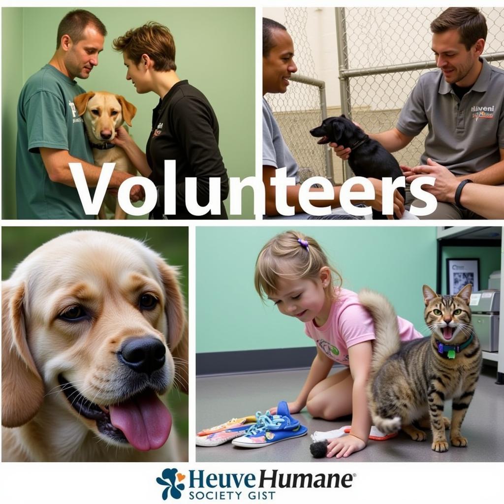 Haven Humane Society in Redding: A Beacon of Hope for Animals in Need