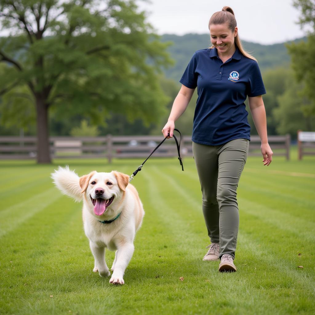 Volunteer walking a happy dog at Heartland Humane Society