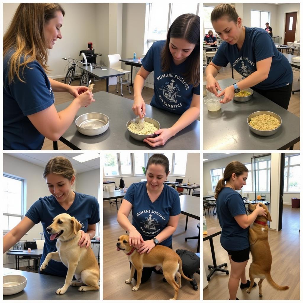 Volunteers Caring for Animals at the Hendersonville TN Humane Society