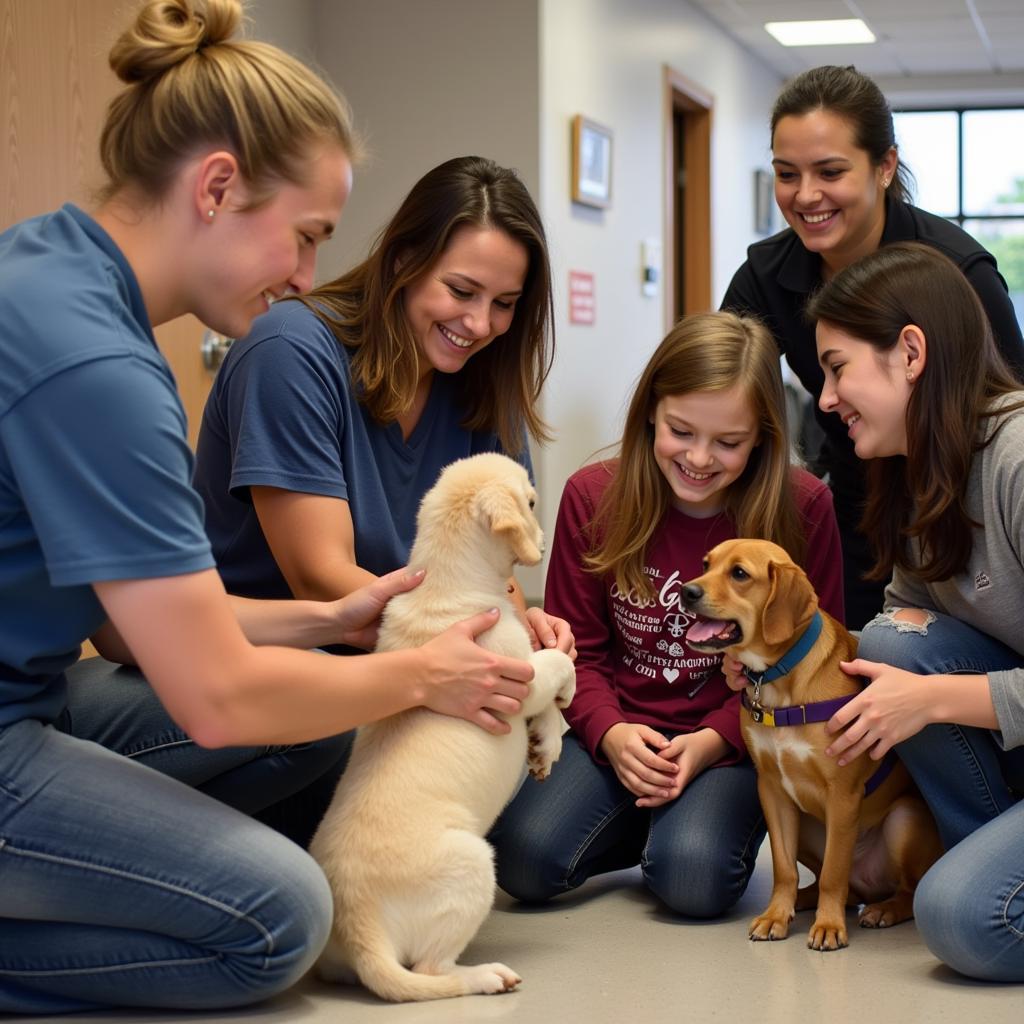 A photo capturing the joy and excitement of an adoption event at the Henry County Humane Society.