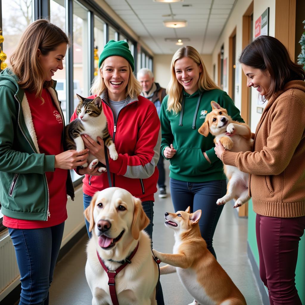 Volunteers at a Holiday Humane Society