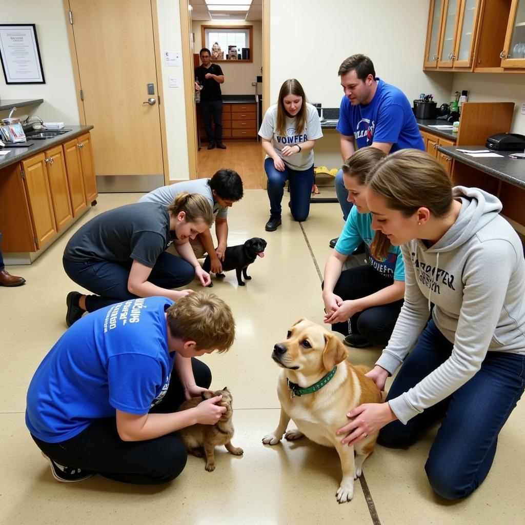 Volunteers at the Houlton Humane Society