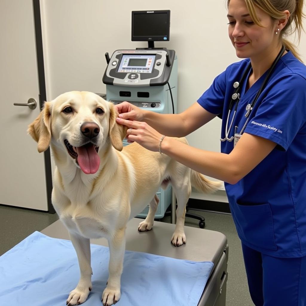 Humane Society of North Texas Veterinary Care