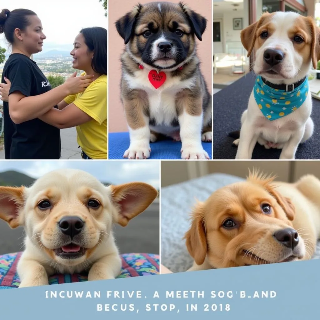 HSVC Ventura County Adoption Event