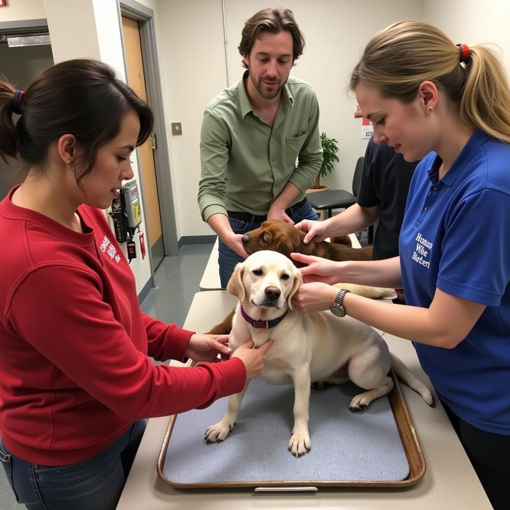 Volunteers at Humane Society Aberdeen caring for animals