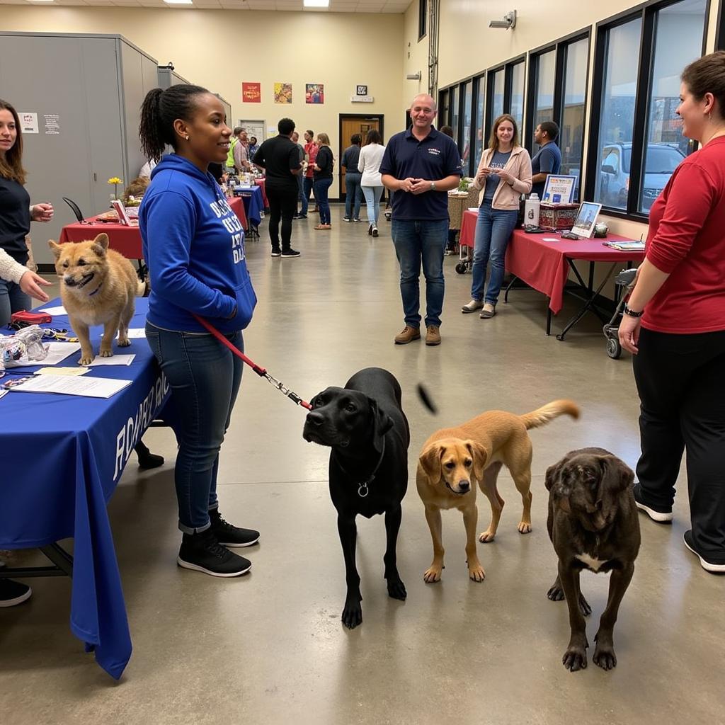 Humane Society Adoption Event