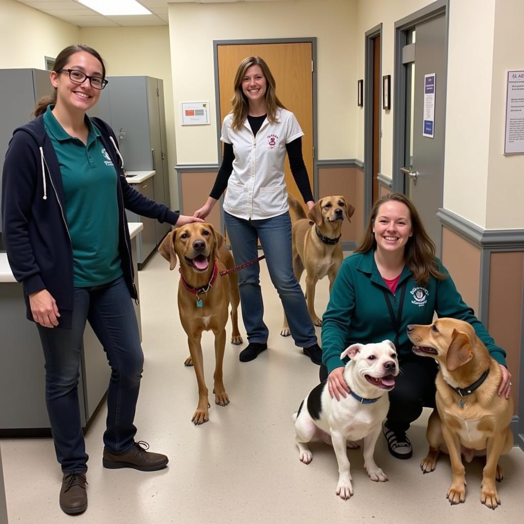 Volunteering at Humane Society Albert Lea