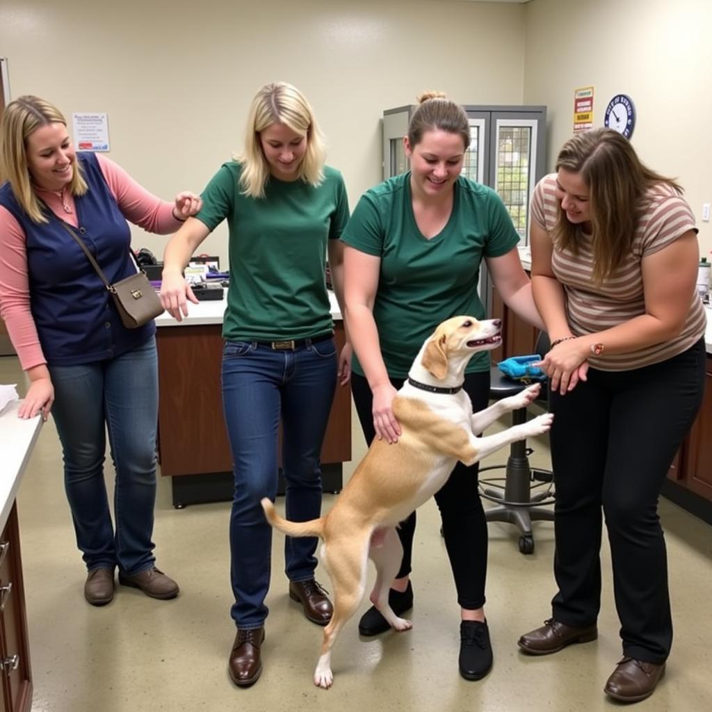 Volunteers at Albert Lea Humane Society