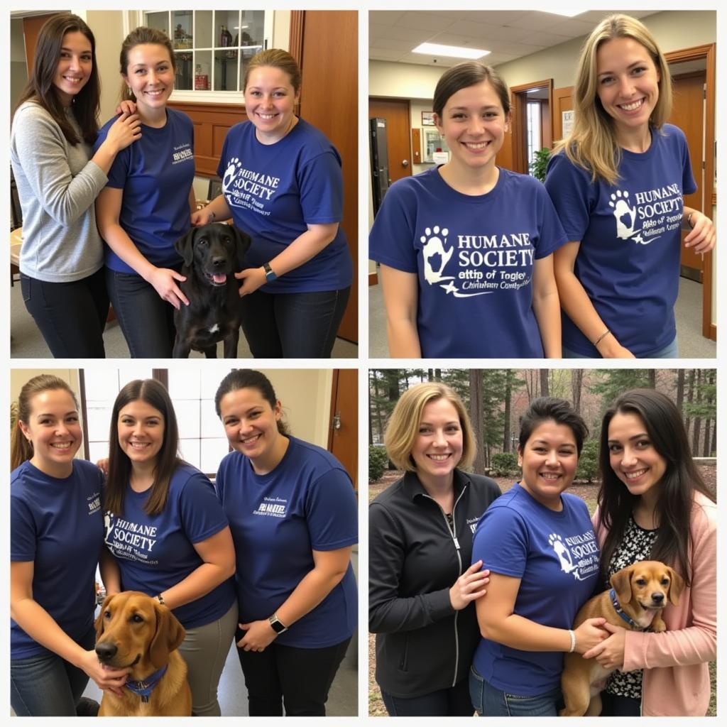 Volunteers at the Humane Society of Chittenden County