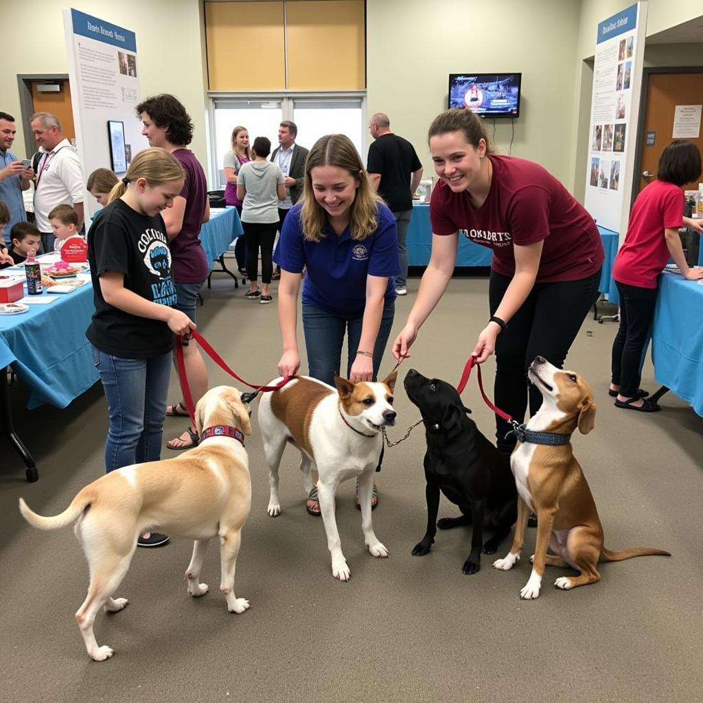 Adoption event at the Humane Society of Decatur and Macon County connects loving families with adorable pets